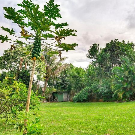 Charming Historic Hilo House Minutes To Beach! Dış mekan fotoğraf