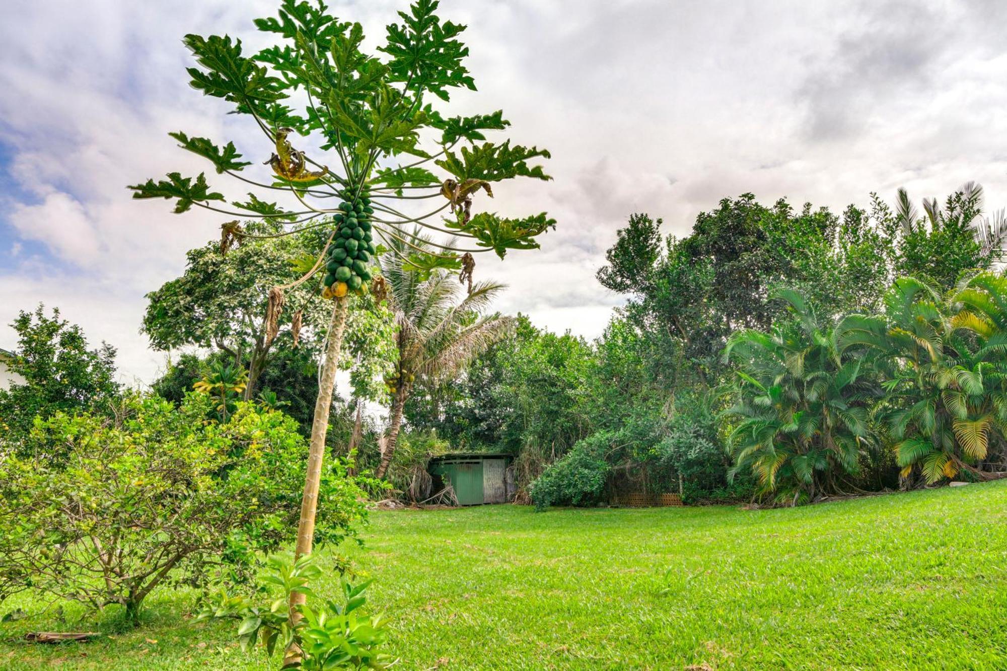 Charming Historic Hilo House Minutes To Beach! Dış mekan fotoğraf
